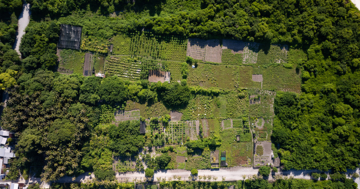 Finey gai gasthah kandaa andhaa massala boduvejje