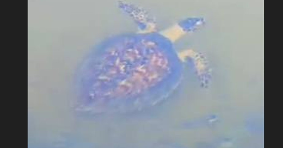 Kulhudhuffushi kulhiah kahanbu dhookuraatheeve kanboduvun